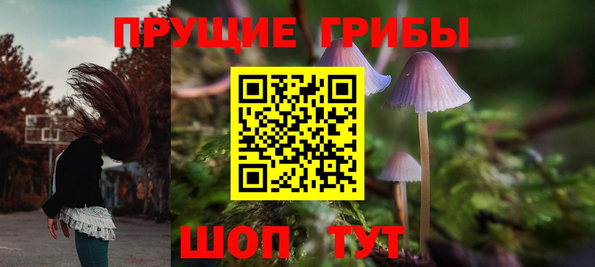 Псилоцибиновые грибы Psilocybine cubensis  как найти наркотики  Каменск-Уральский  Вход с VPN 
